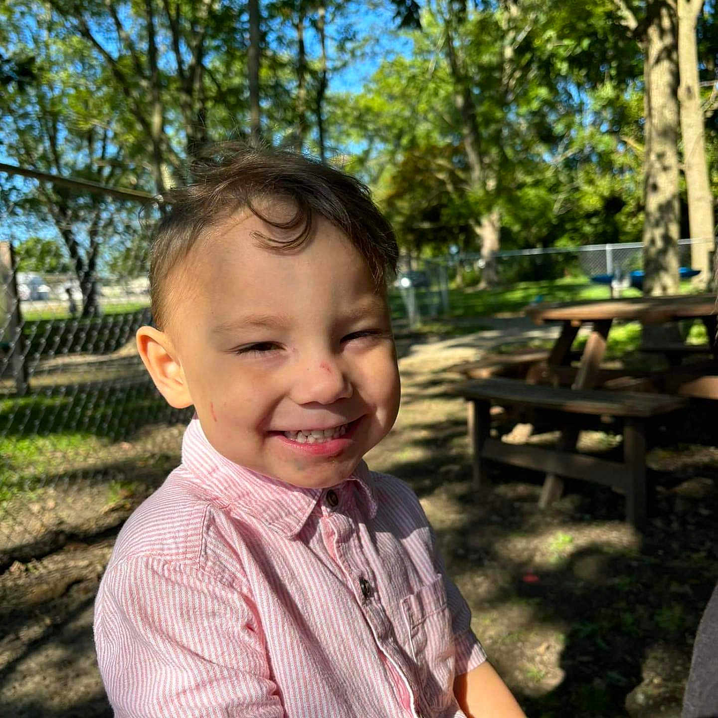 Noah joined the competition — help win amazing prizes! boy, casual_clothing, child, curl, daylight, face, fence, hair, happy, nature, outdoor, park, person, picnic_table, pink_striped_shirt, shirt, smiling, sunlight, trees, young_boy