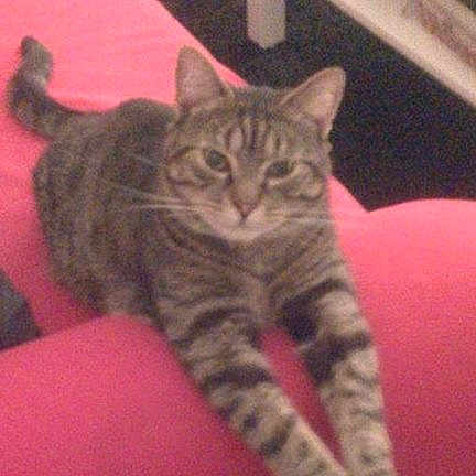 Alvin