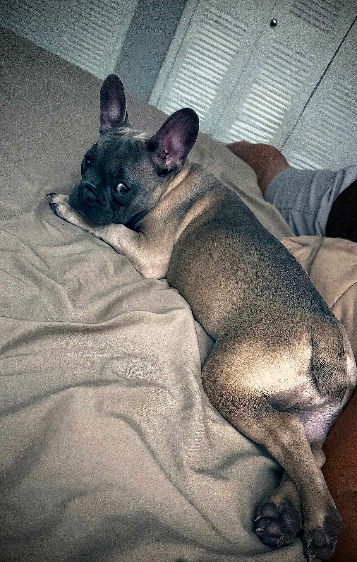 Fiona