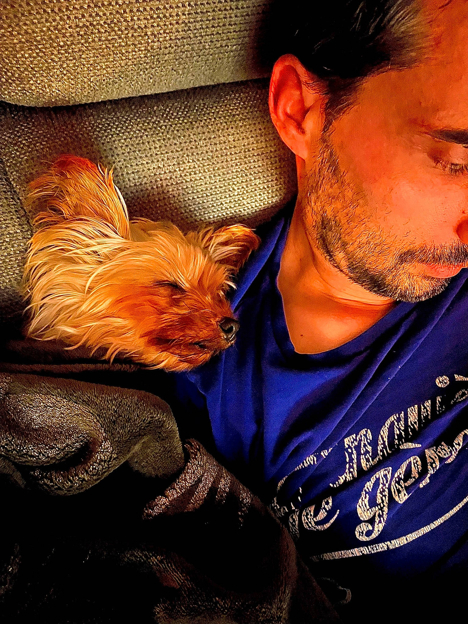 Kika Et Nina participe au concours pour gagner de l'argent avec cette photo : beard, companion_dog, cool, dog, dog_breed, ear, electric_blue, facial_hair, flesh, fun, fur, hair, moustache, neck, selfie, t_shirt, toy_dog, whiskers