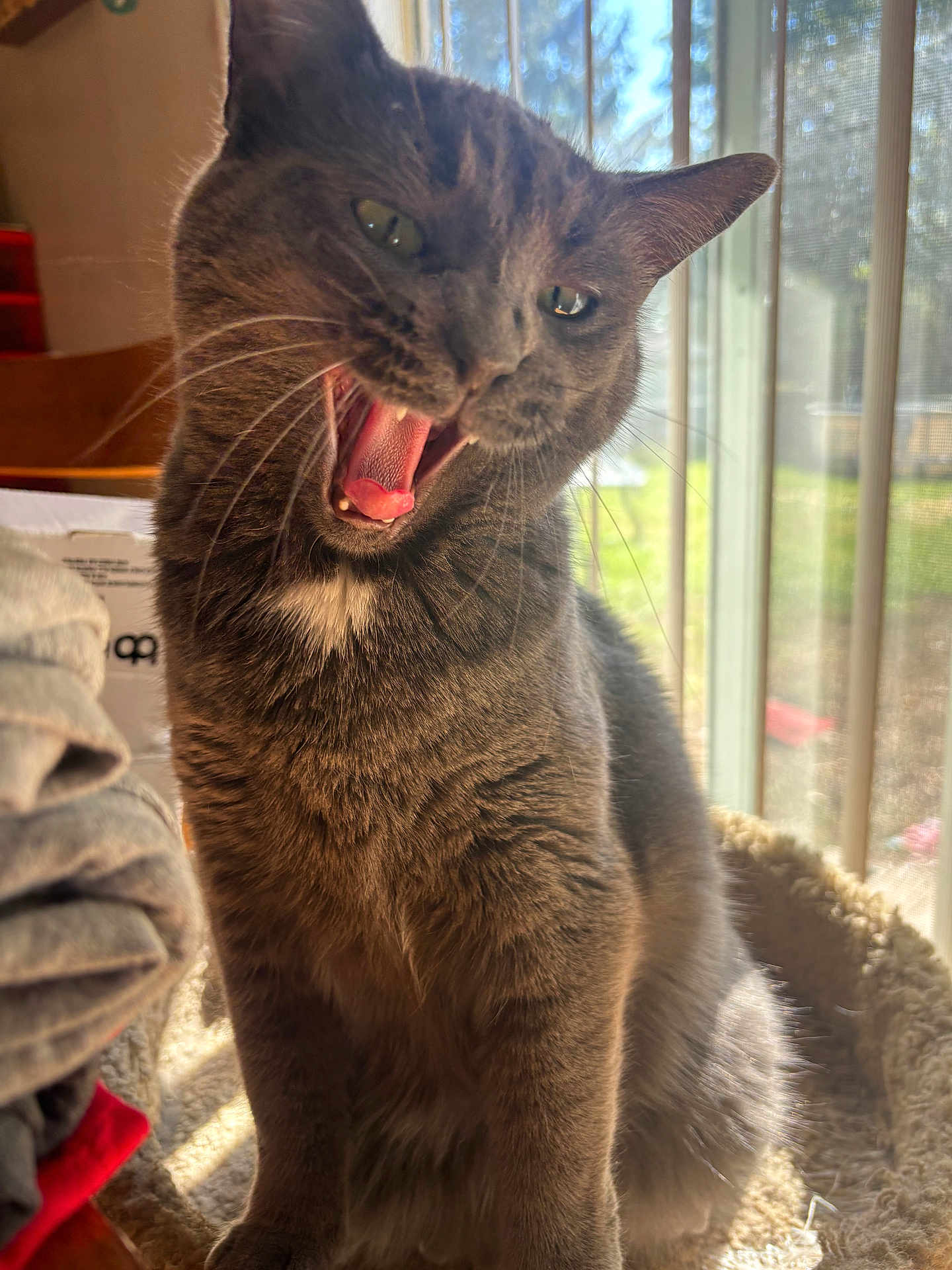 Luna