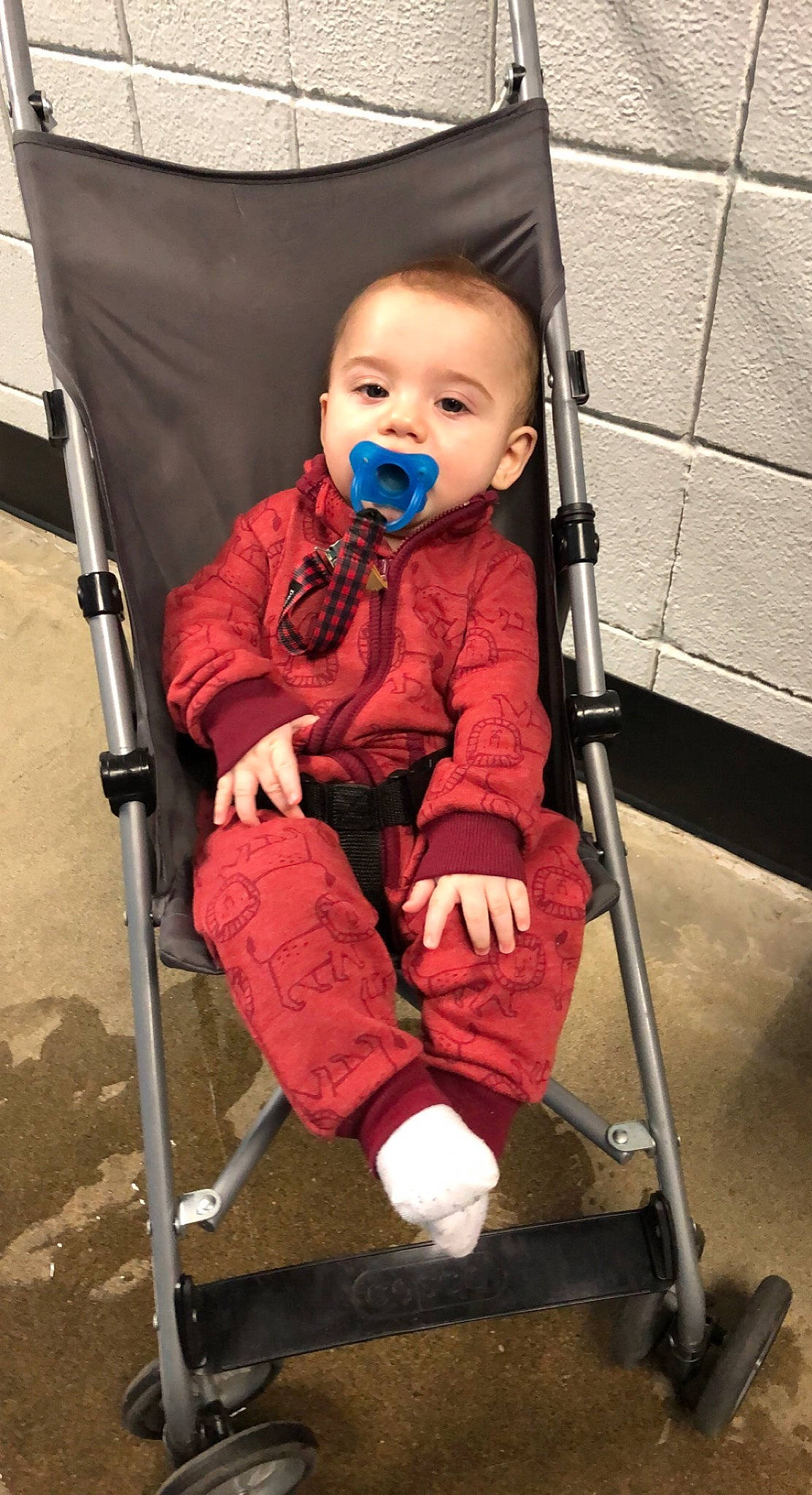 Michael is registered to the contest to win money with this photo: baby, baby_carriage, baby_products, baby_toddler_clothing, chair, child, comfort, folding_chair, fun, human_body, person, photograph, product, red, sitting, smile, snapshot, tire, toddler, wheel
