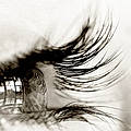 Catherine R.
