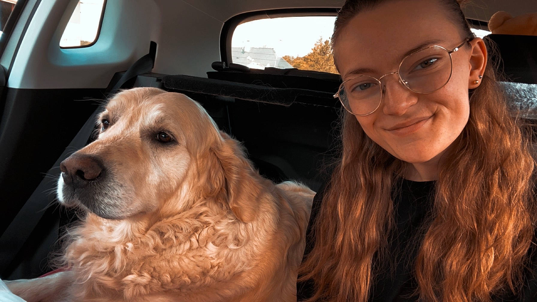 Milo a rejoint le concours — aidez-le/la à gagner de superbes lots ! accessories, adult, animal, canine, car, cushion, dog, face, female, glasses, goldenretriever, head, homedecor, person, pet, photography, portrait, transportation, vehicle, woman