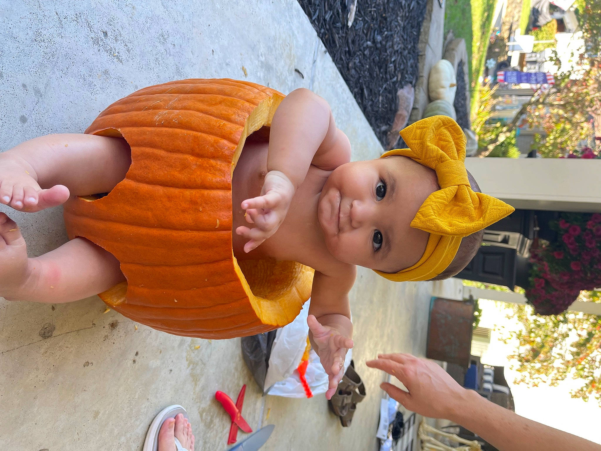 Amiyah is registered to the contest to win money with this photo: animation, art, calabaza, carving, child, fun, happy, hat, headgear, headwear, lawn_ornament, leisure, orange, person, plant, pumpkin, statue, thumb, toy, tree