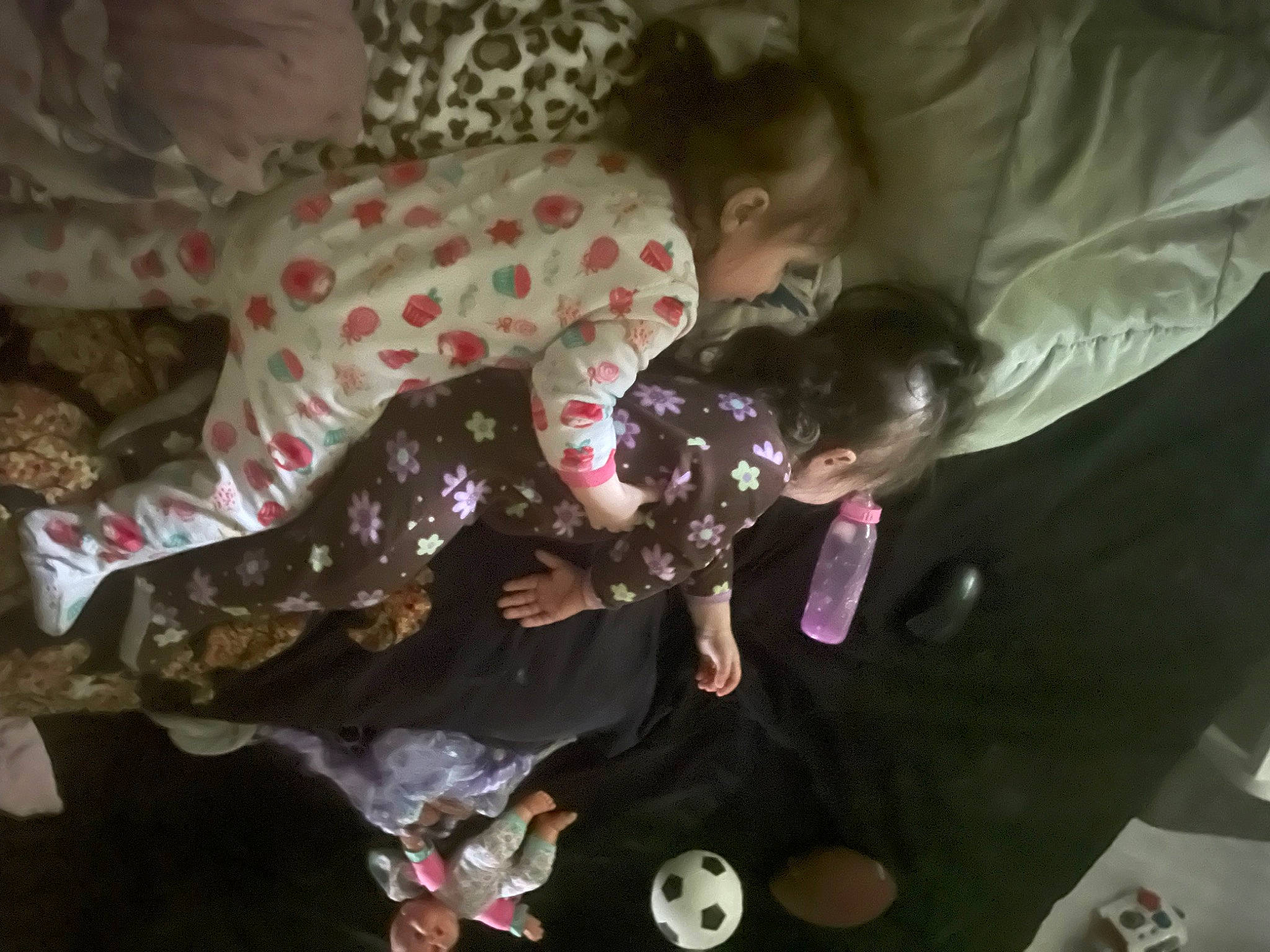 Lena joined the competition — help win amazing prizes! baby, canidae, carmine, carnivore, child, comfort, companion_dog, dog_breed, event, fun, lap, linens, pattern, person, room, sitting, sporting_group, toddler, tree