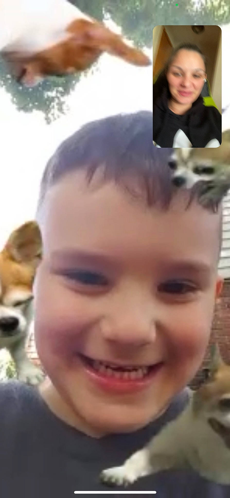 Camron is registered to the contest to win money with this photo: cheek, cool, ear, eyebrow, eyelash, facial_expression, forehead, gesture, hairstyle, happy, human, jaw, joy, lip, mouth, nose, people, person, photograph, skin