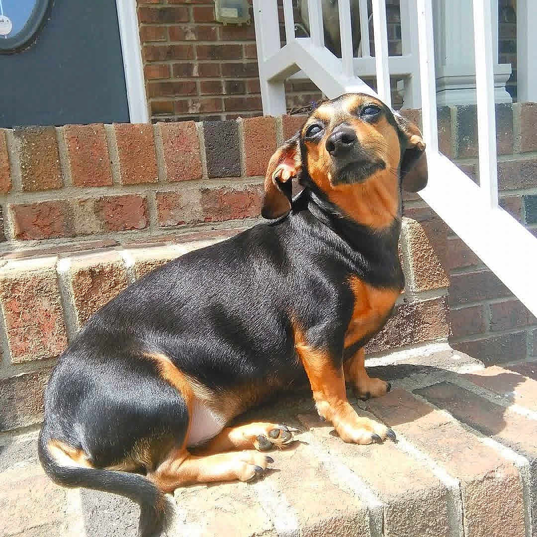 Roxy