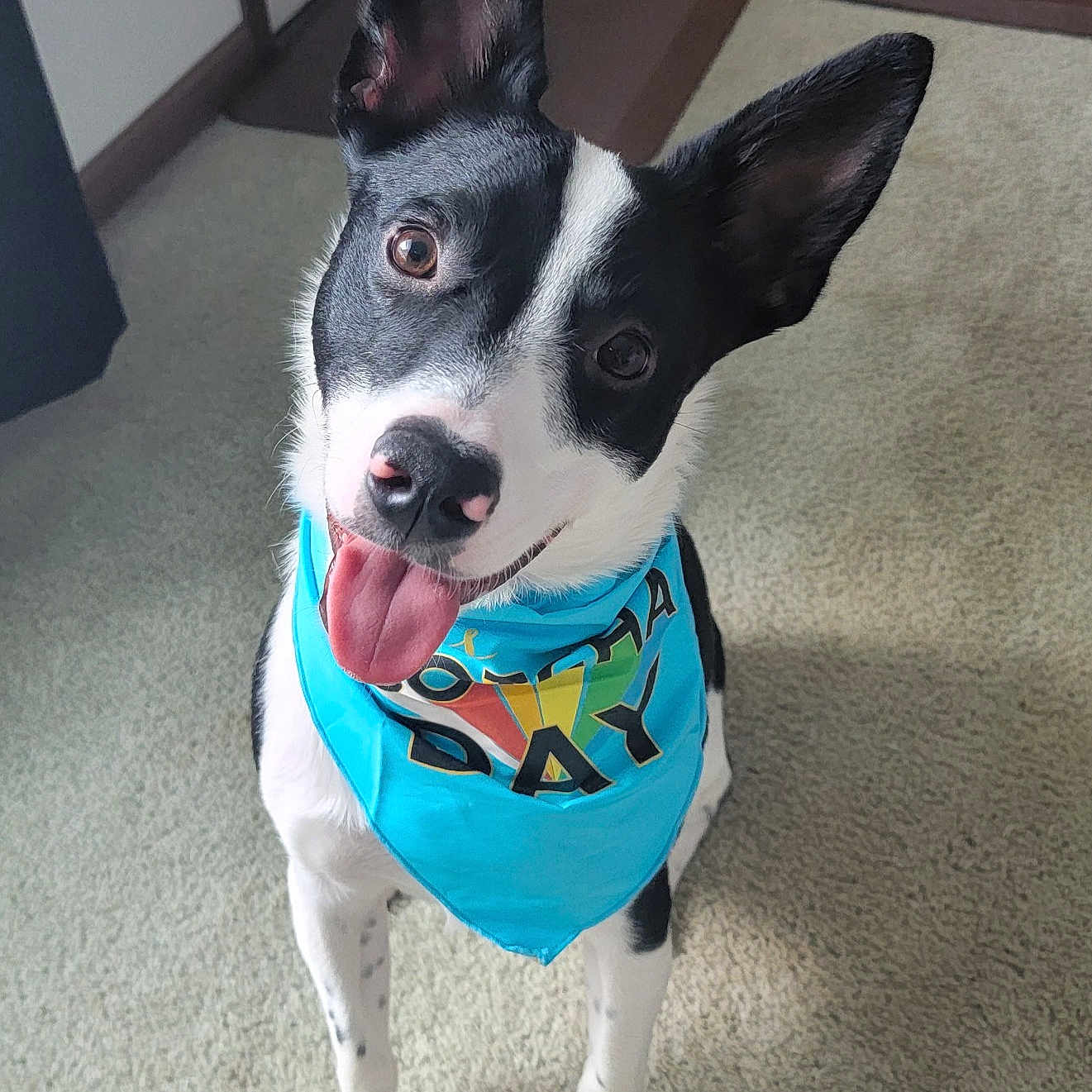 Max