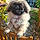 Athos