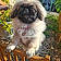 Athos