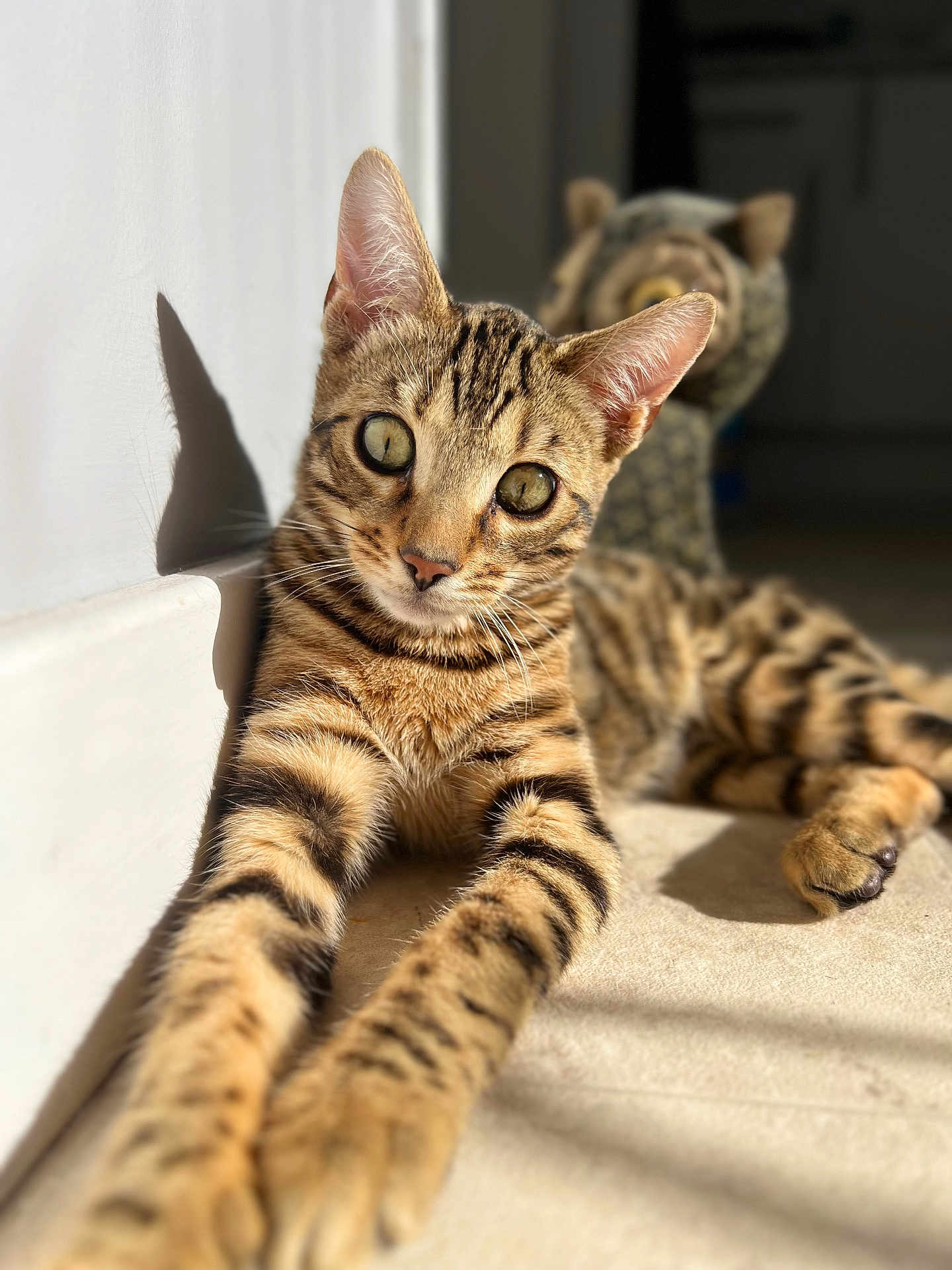 Benji