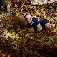 Bowen joined the competition — help win amazing prizes! baby, dog, couch, floral_pattern, vintage, wood_paneling, blanket, indoors, pet, child, relaxing, animal, furniture, carpet, cozy, portrait, living_room, canine, comfort, casual