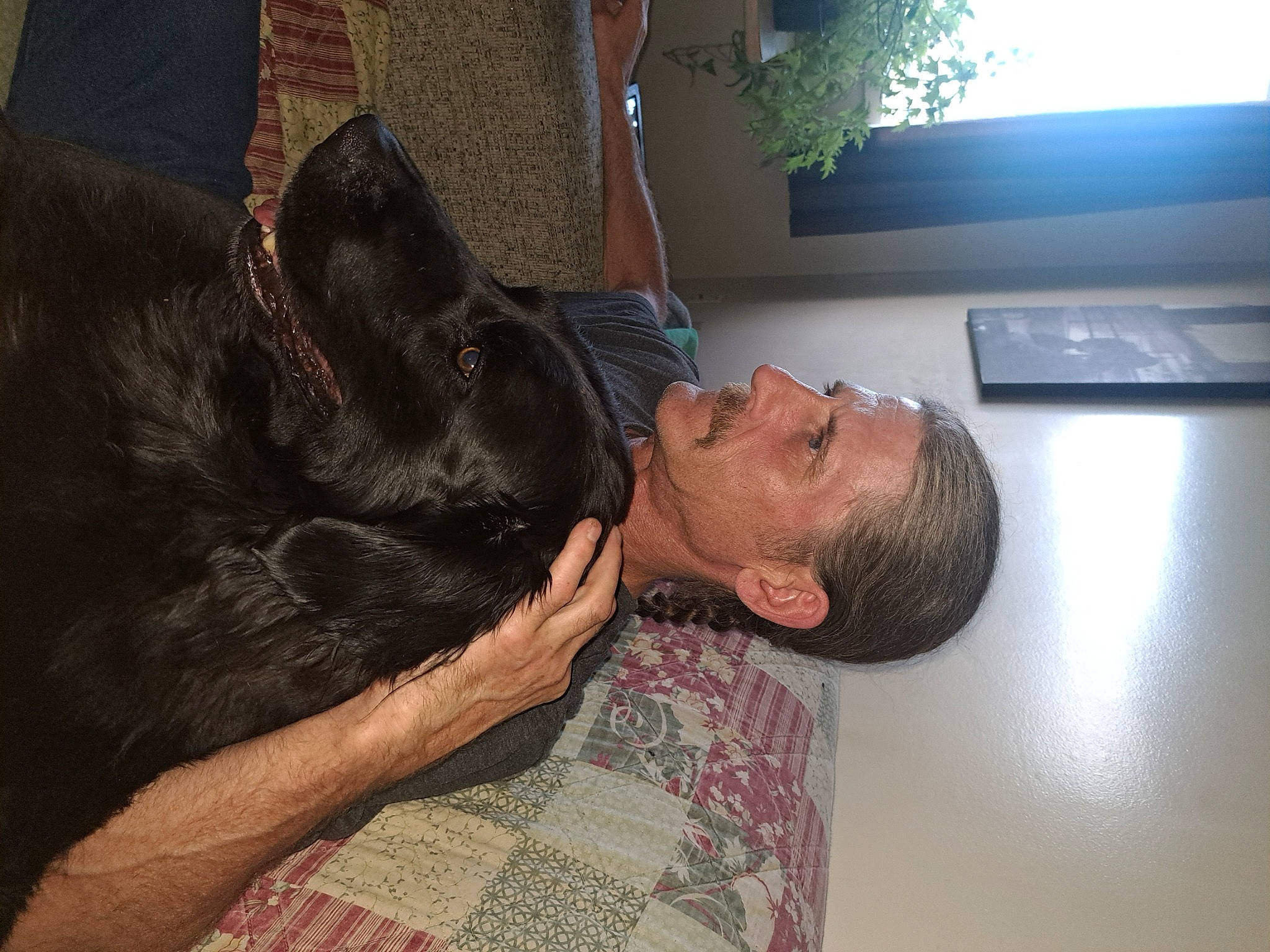 Tuxedo And Fritz is registered to the contest to win money with this photo: abdomen, chest, comfort, companion_dog, couch, dog, dog_breed, elbow, fawn, flesh, flooring, fun, fur, gesture, guard_dog, human_leg, plant, sitting, sunglasses, tree