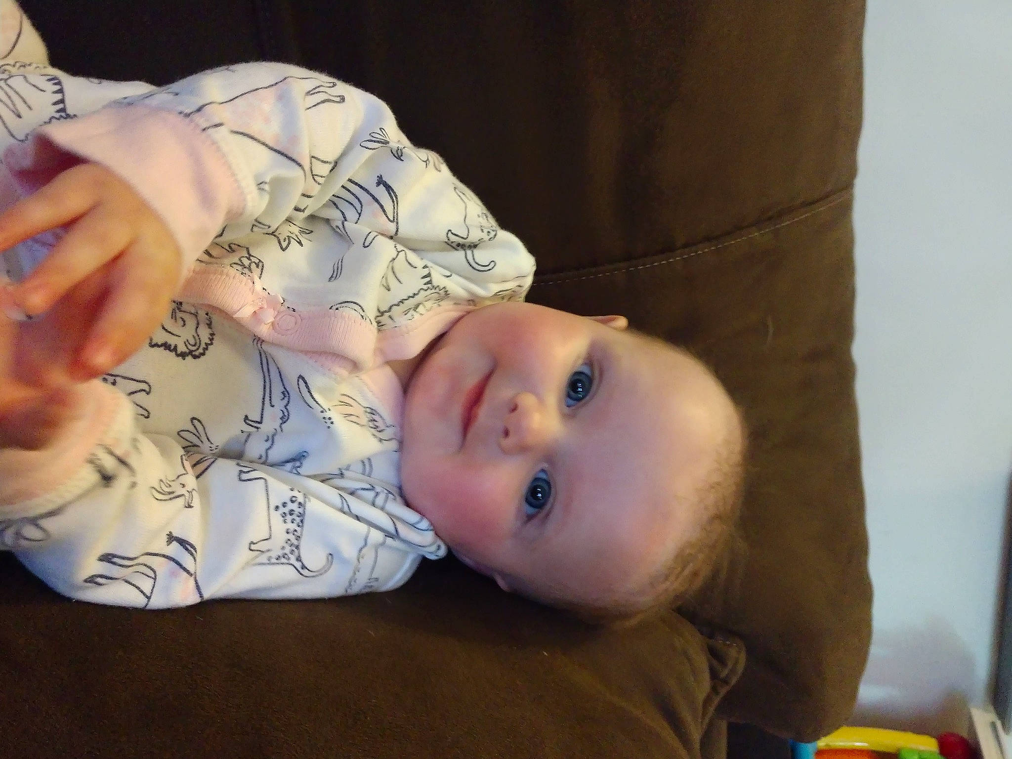 Margo joined the competition — help win amazing prizes! baby, cheek, child, eye, joy, nose, person, skin, toddler