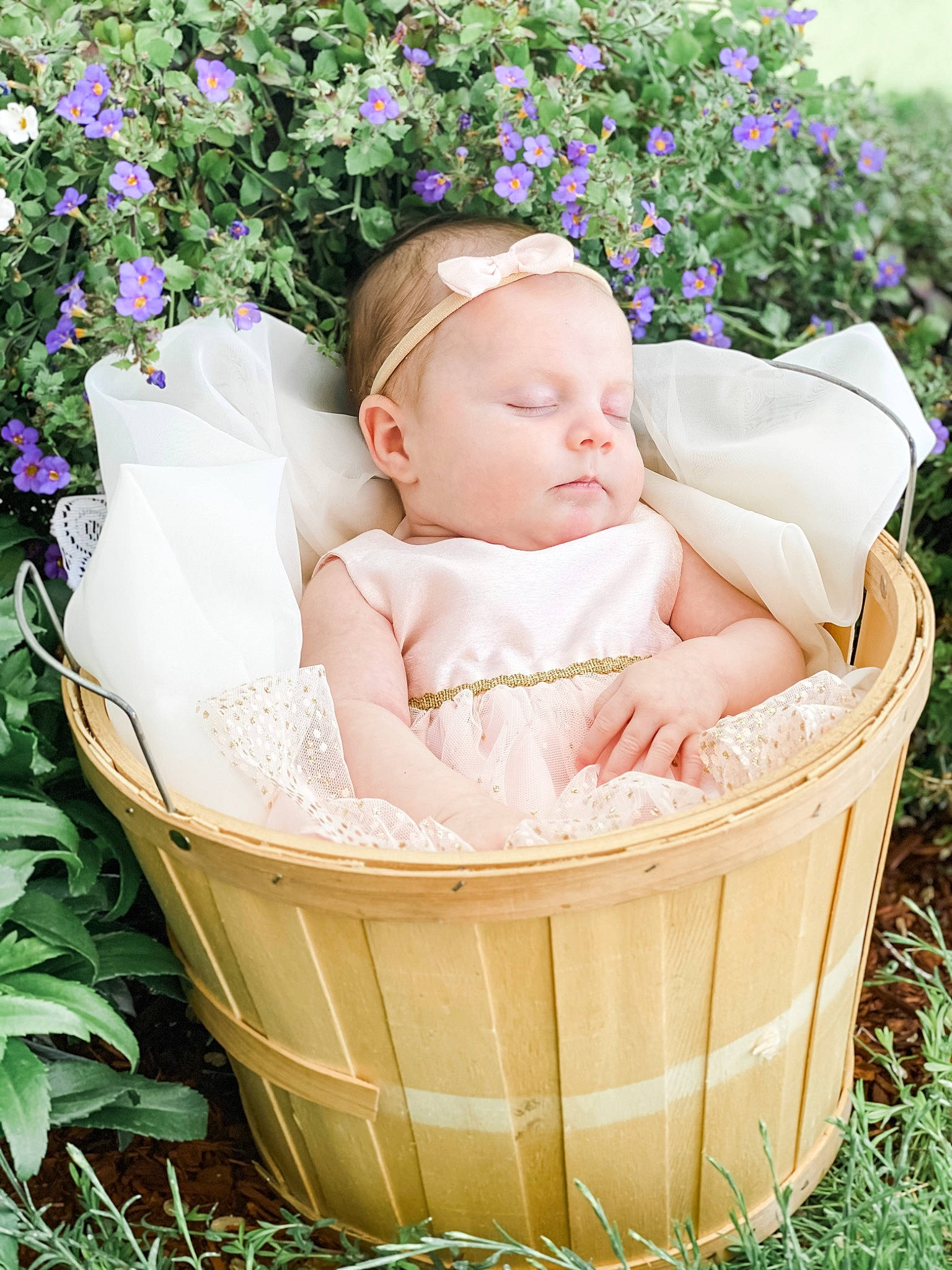 Hattie joined the competition — help win amazing prizes! baby, baby_products, baby_sleeping, basket, child, flower, grass, person, photography, pink, product, purple, toddler, wicker