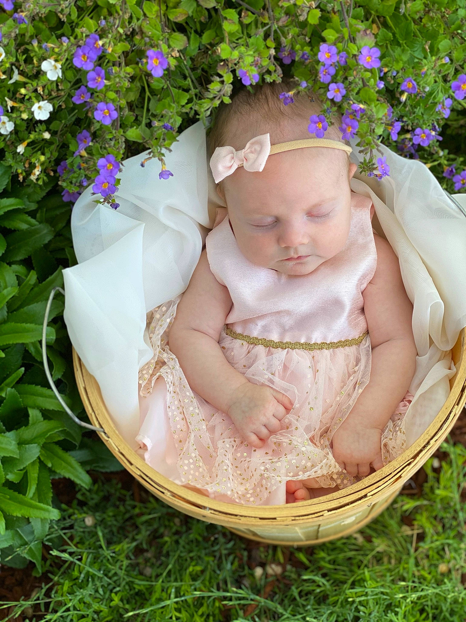 Hattie joined the competition — help win amazing prizes! baby, baby_products, basket, child, flower, grass, lavender, person, plant, product, purple, toddler