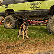 Hardy is registered to the contest to win money with this photo: german_shepherd, dog, vehicle, off_road, muddy, grass, tires, parked_car, outdoor, leash, pet, animal, auto_repair, sign, four_wheel_drive, park, brown_dog, canine, daytime, nature