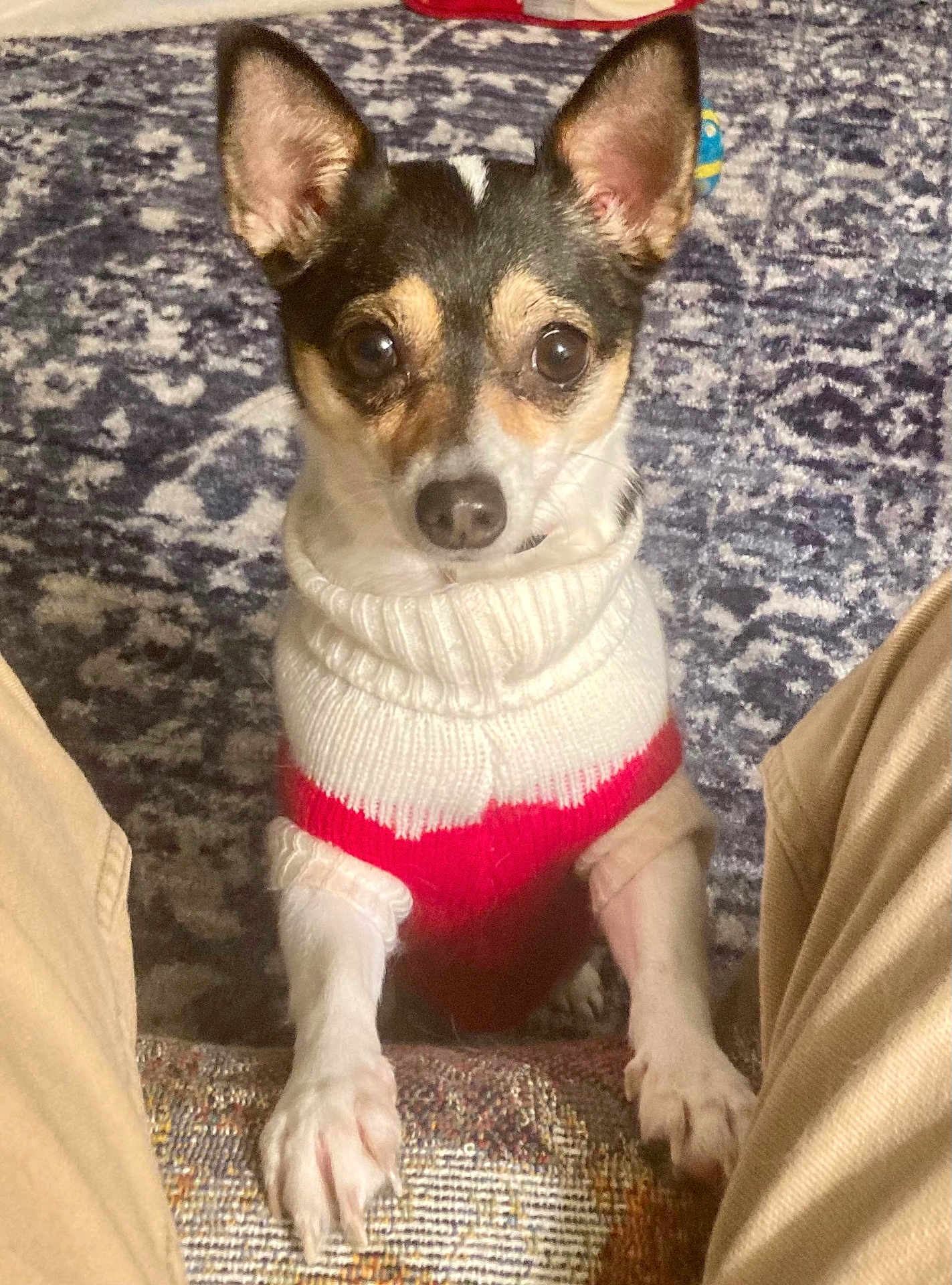 Bella