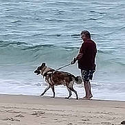 Sarge is registered to the contest to win money with this photo: animal, barefoot, beach, canine, casual_clothing, daytime, dog, leash, man, ocean, outdoor, pet, recreation, sand, sea, shore, summertime, walking, water, waves