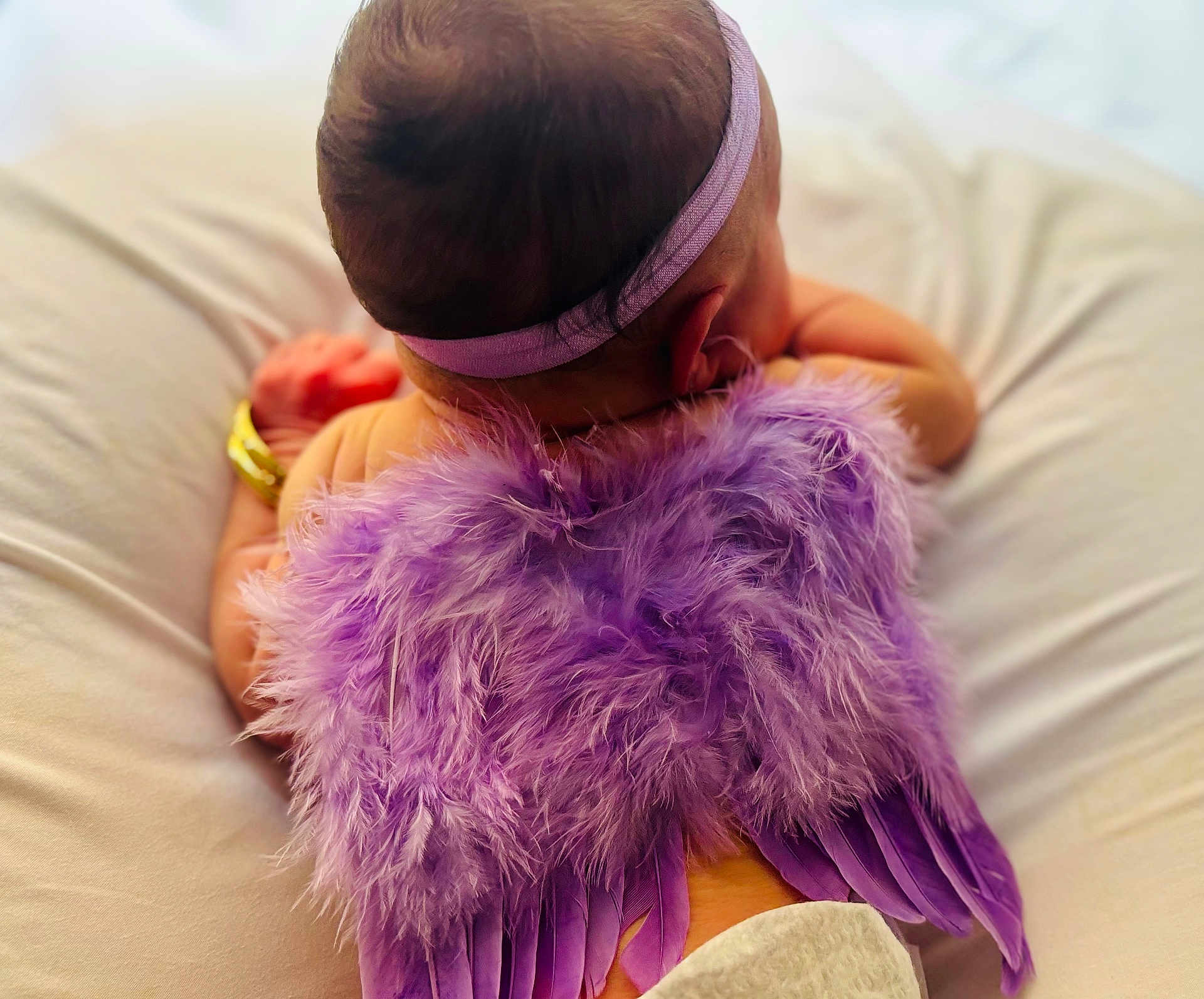 Khaleesie Lynn joined the competition — help win amazing prizes! baby, infant, purple_wings, headband, soft_cushion, feathers, back_view, sleeping, cute, newborn, angel, costume, skin, flesh, lying_down, adorable, child, soft_lighting, indoor, peaceful