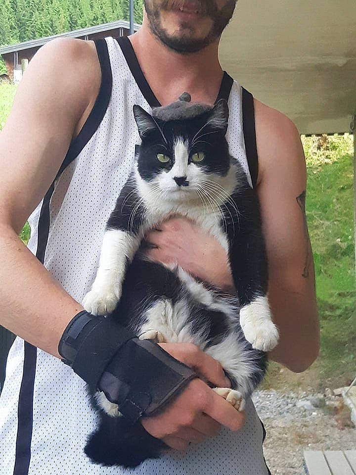 Chaplin participe au concours pour gagner de l'argent avec cette photo : beard, carnivore, cat, chest, clothing, eyewear, fawn, felidae, finger, gesture, grass, hand, plant, shoulder, sleeve, small_to_medium_sized_cats, sunglasses, trunk, vest, whiskers