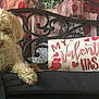 Truffles is registered to the contest to win money with this photo: dog, pet, curly_fur, poodle, bench, metal_backrest, pillow, valentine_text, leash, id_tags, roses, wood_paneling, home_decor, closeup, portrait, sitting, paw, cushion, indoor, cute