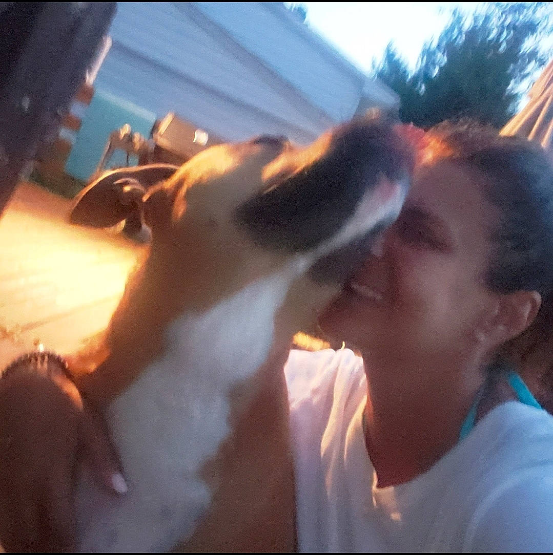 Goldie is registered to the contest to win money with this photo: carnivore, companion_dog, dog, dog_breed, ear, eyewear, fawn, felidae, fun, fur, gesture, happy, jaw, selfie, sky, small_to_medium_sized_cats, snout, sporting_group, whiskers, working_animal