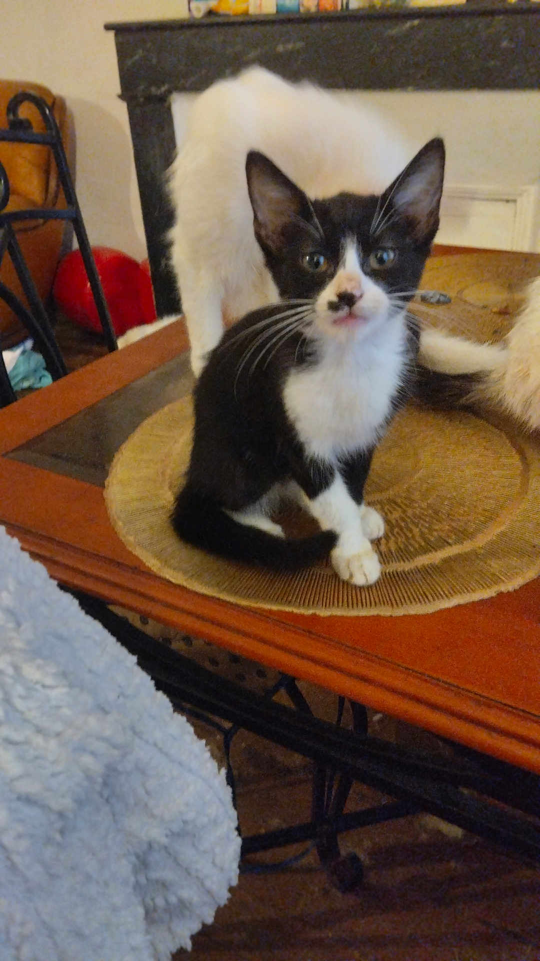 Agatha