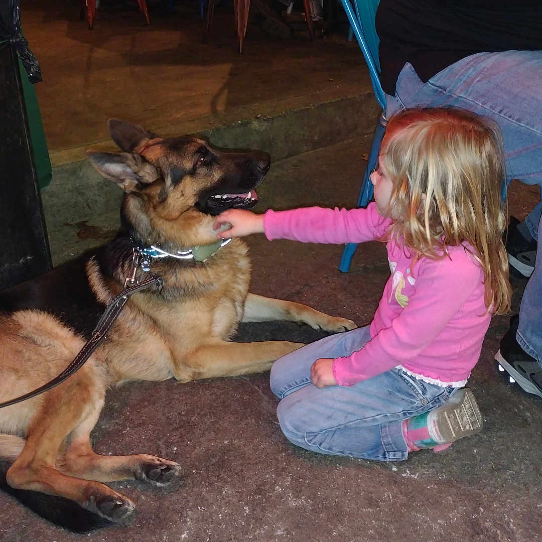 Vito Waller is registered to the contest to win money with this photo: accessories, adult, animal, canine, child, clothing, dog, face, female, germanshepherd, girl, head, male, man, pants, person, pet, photography, portrait, woman