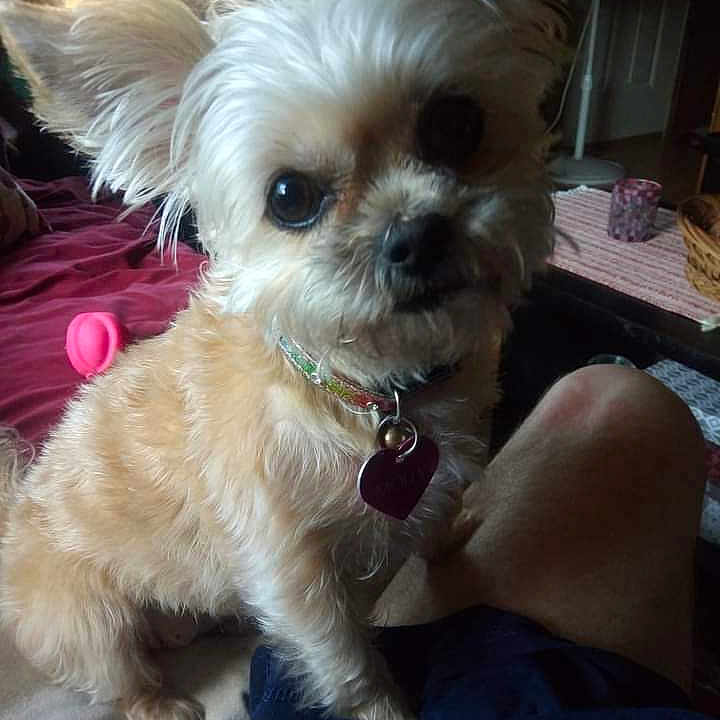 Molly