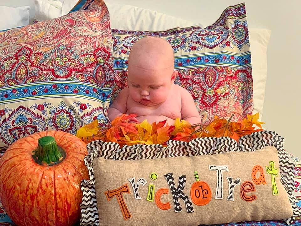 Eveleigh Rose joined the competition — help win amazing prizes! art, baby, bedding, calabaza, child, craft, cushion, furniture, linens, orange, person, pillow, plant, product, pumpkin, quilt, textile, throw_pillow, toddler