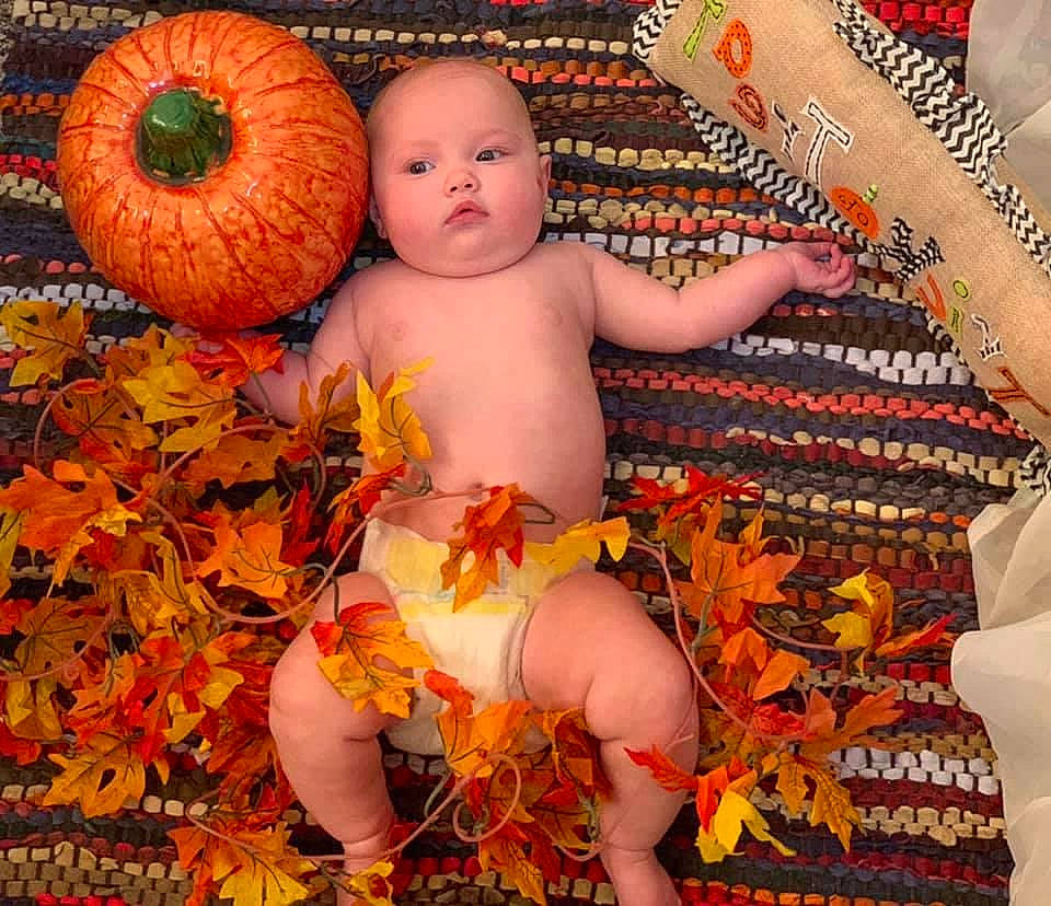 Eveleigh Rose is registered to the contest to win money with this photo: art, autumn, baby, calabaza, child, cucurbita, gourd, leaf, orange, pattern, person, plant, pumpkin, toddler, tradition, winter_squash