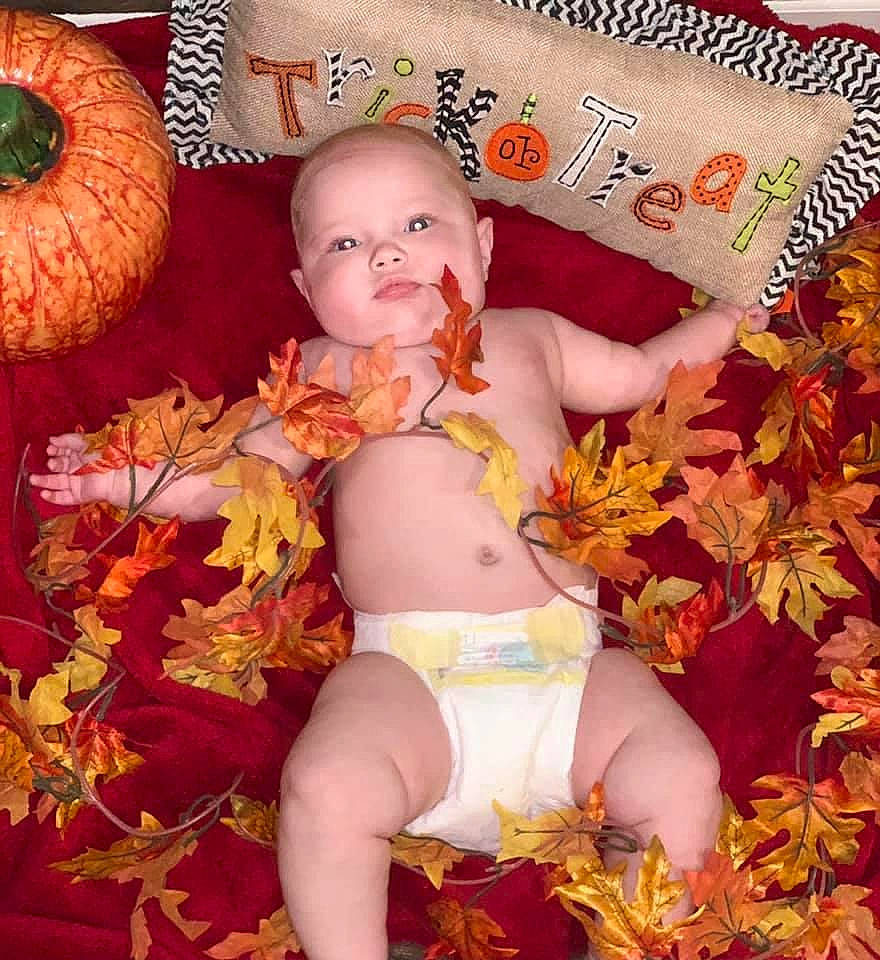 Eveleigh joined the competition — help win amazing prizes! autumn, baby, child, leaf, orange, person, photography, plant, sitting, toddler
