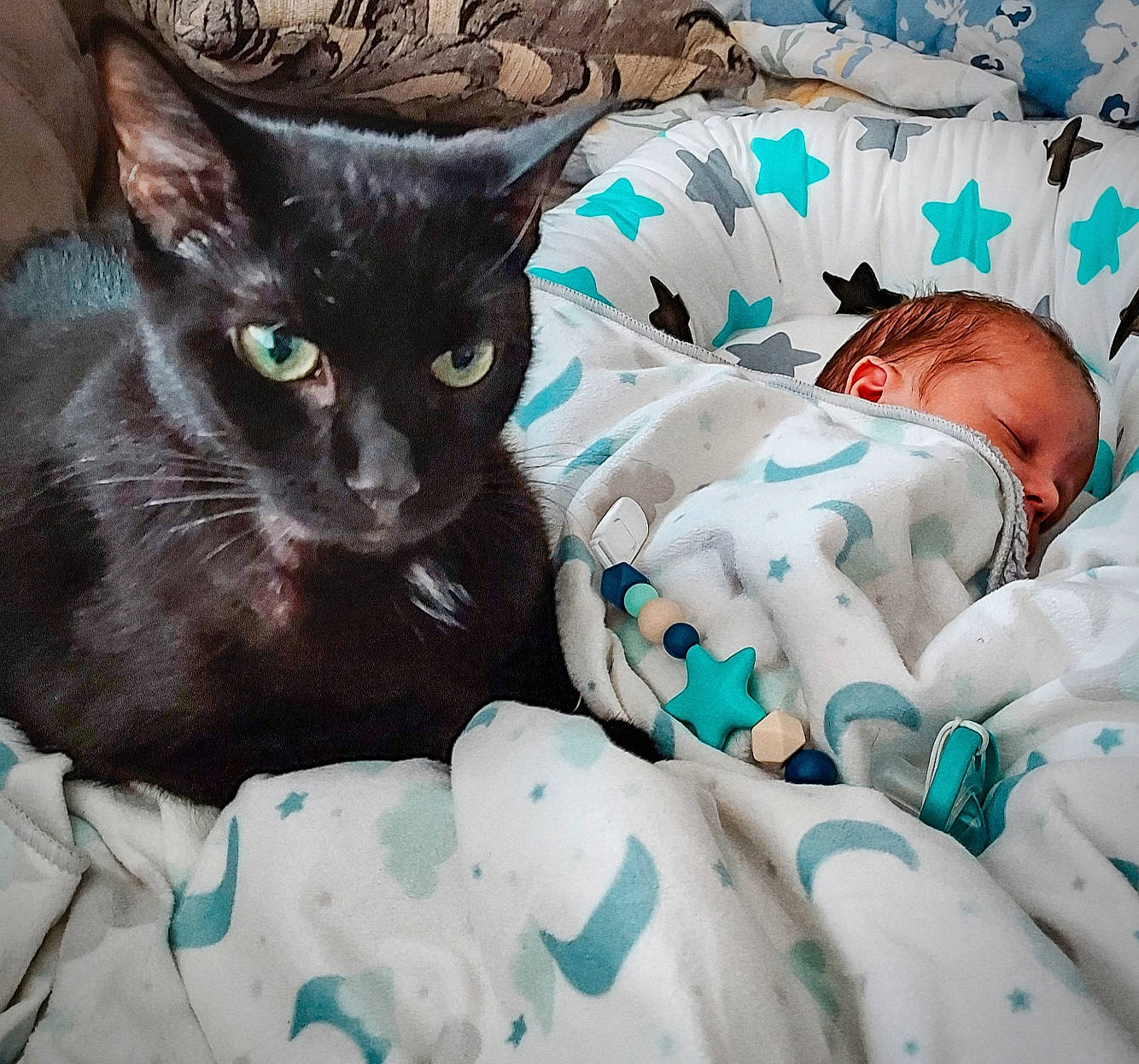 Keenan is registered to the contest to win money with this photo: azure, baby, baby_sleeping, bedding, black_cat, carnivore, cat, comfort, domestic_short_haired_cat, eye, felidae, fur, iris, linens, pattern, person, small_to_medium_sized_cats, snout, tail, toddler