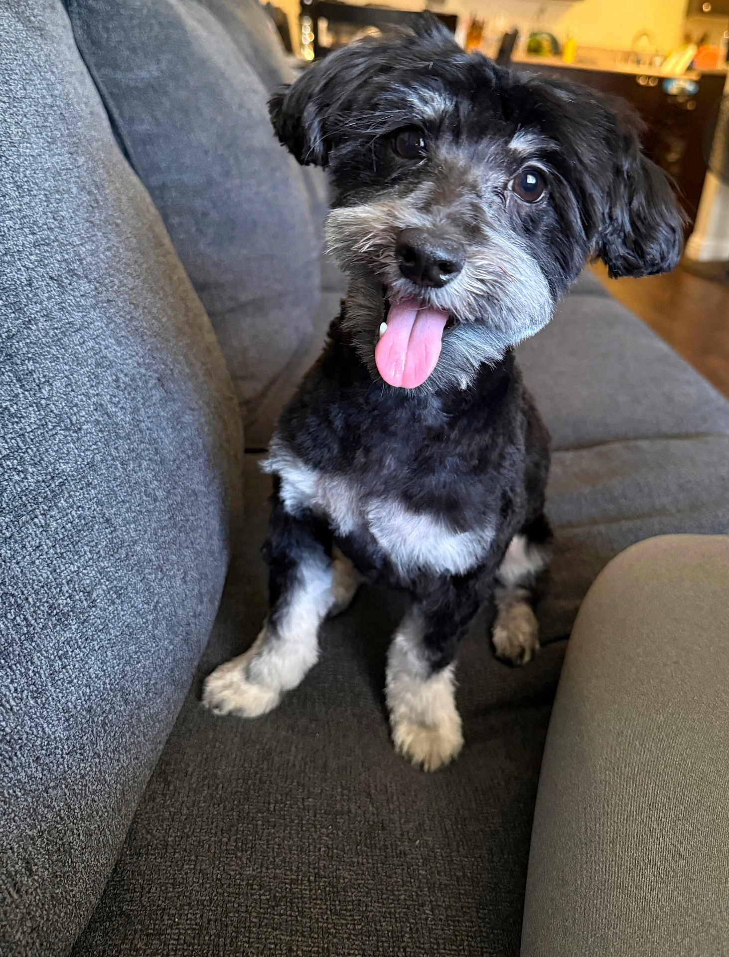 Oreo