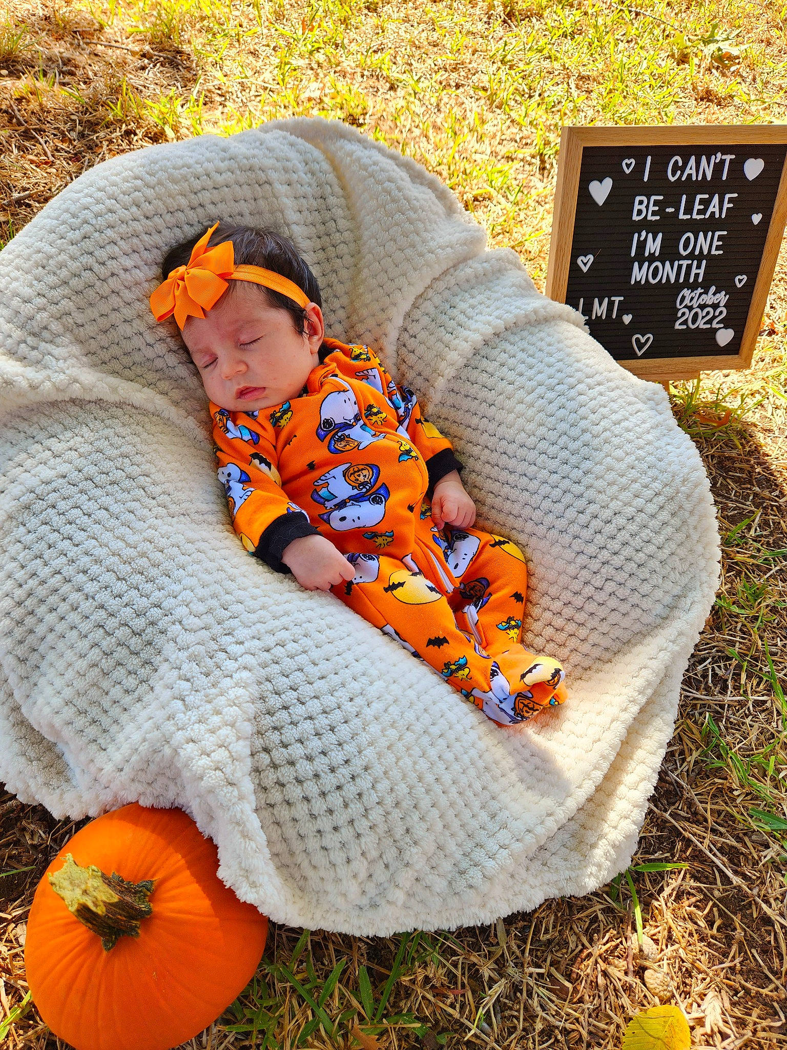 Lola is registered to the contest to win money with this photo: baby_toddler_clothing, calabaza, child, comfort, cucurbita, facial_expression, gourd, grass, leisure, orange, people_in_nature, person, plant, pumpkin, sitting, sunglasses, toddler, tree, vegetable, winter_squash