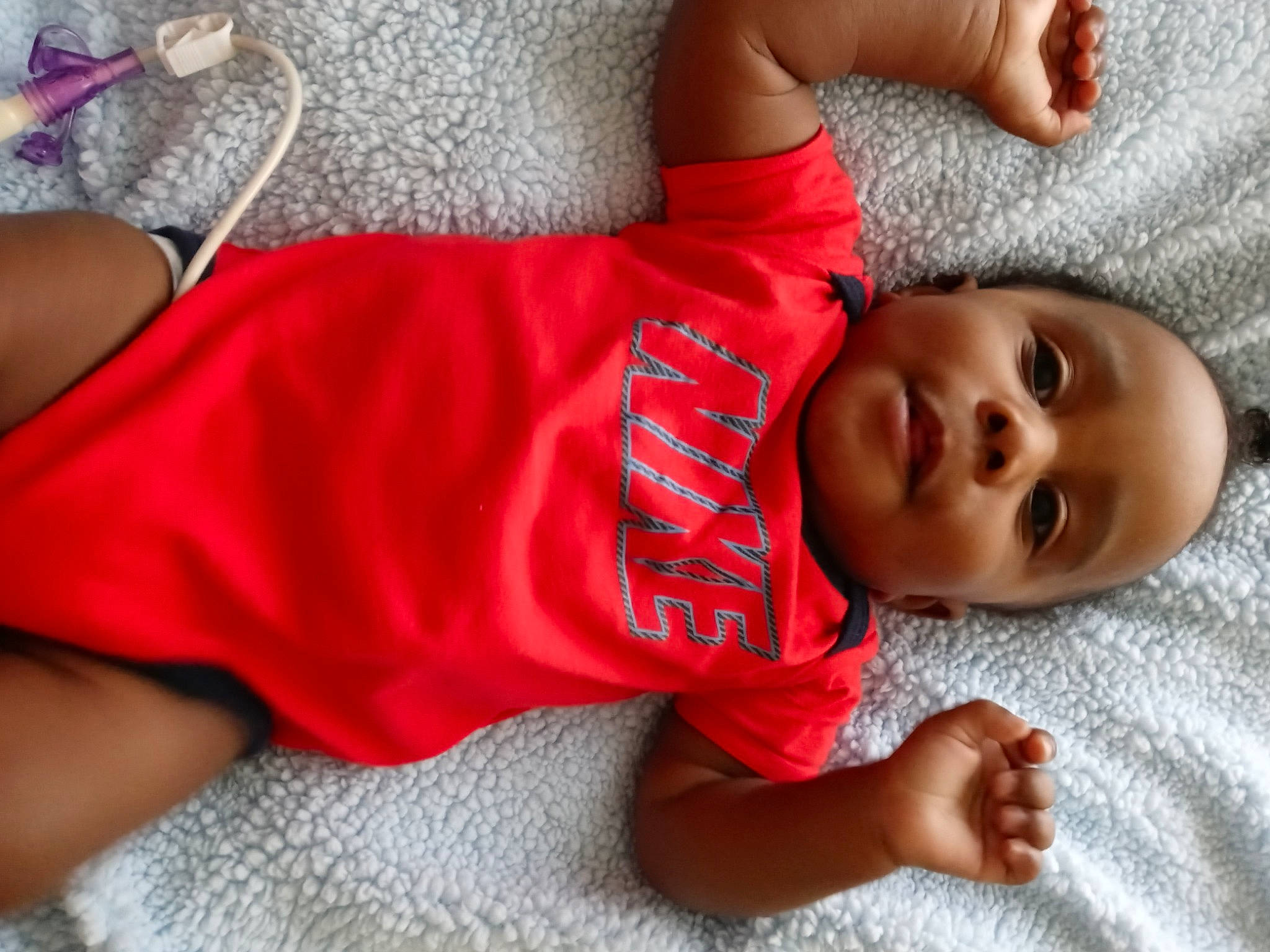 Camari