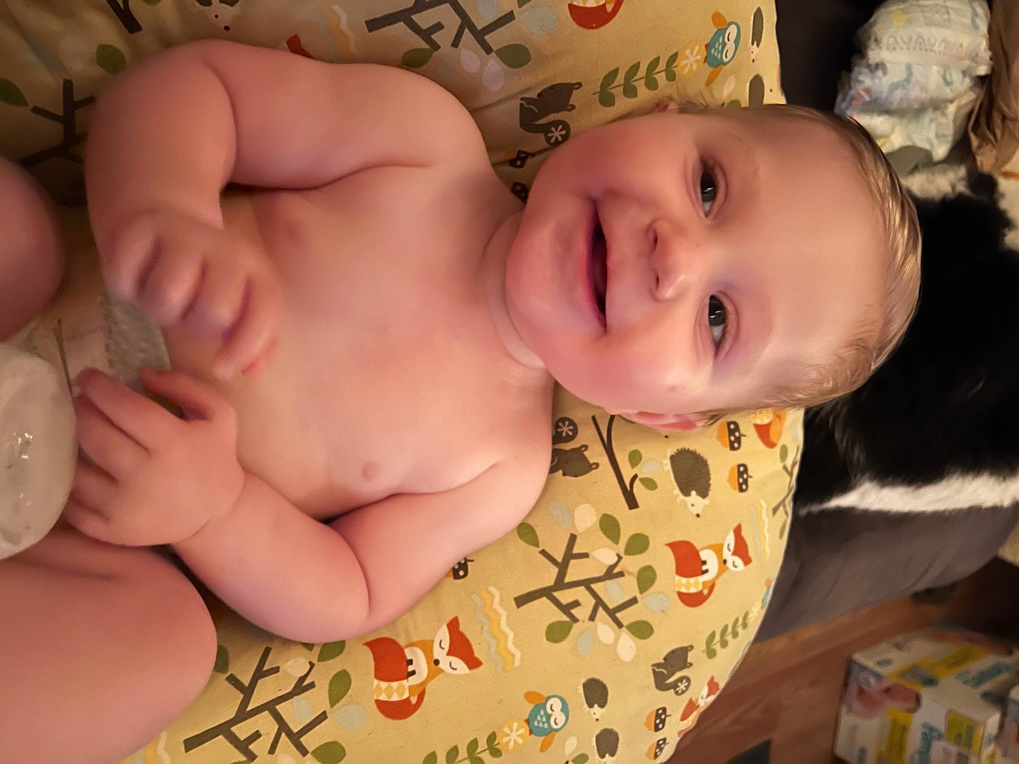 Colton joined the competition — help win amazing prizes! baby, cheek, chest, eye, face, finger, gesture, hand, happy, head, human_body, iris, joy, mouth, nose, organ, person, skin, smile, stomach