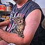Nala joined the competition — help win amazing prizes! kitten, cat, man, arm, sleeveless_shirt, tabby, indoor, furniture, couch, pet, cute, small, fur, clothing, human, resting, expression, domestic, happy, holding