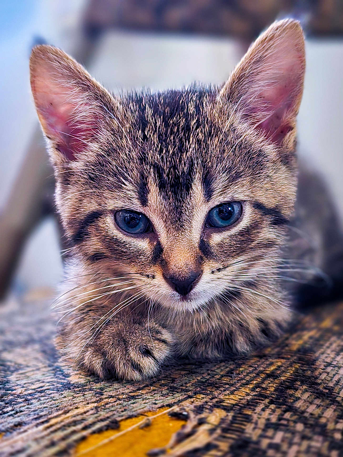 Nala