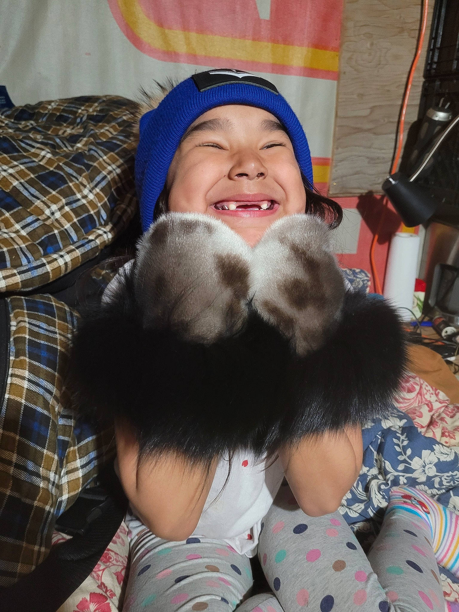 Hazel joined the competition — help win amazing prizes! cap, child, comfort, companion_dog, event, fashion_accessory, felidae, fun, fur, happy, headwear, joy, lap, leisure, mammal, pattern, person, plaid, sitting, skin