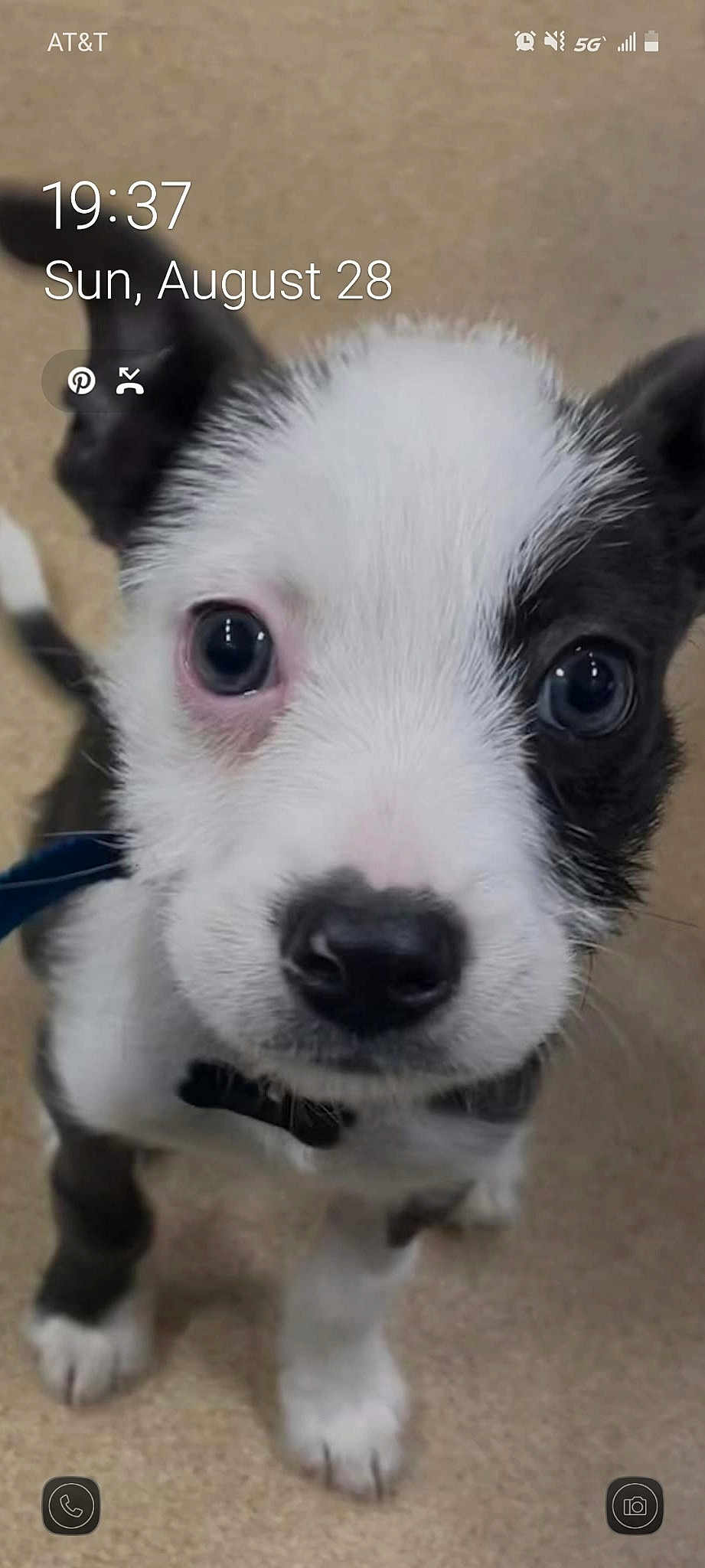 Olly