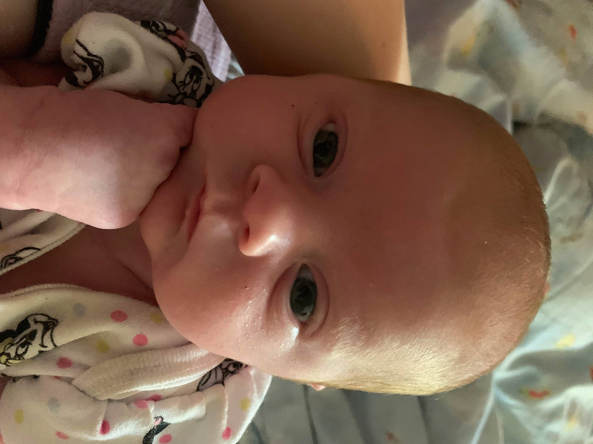 Scarlett is registered to the contest to win money with this photo: baby, cheek, chin, ear, eye, eyebrow, eyelash, face, finger, happy, head, headgear, human_body, iris, lip, mouth, neck, nose, person, skin