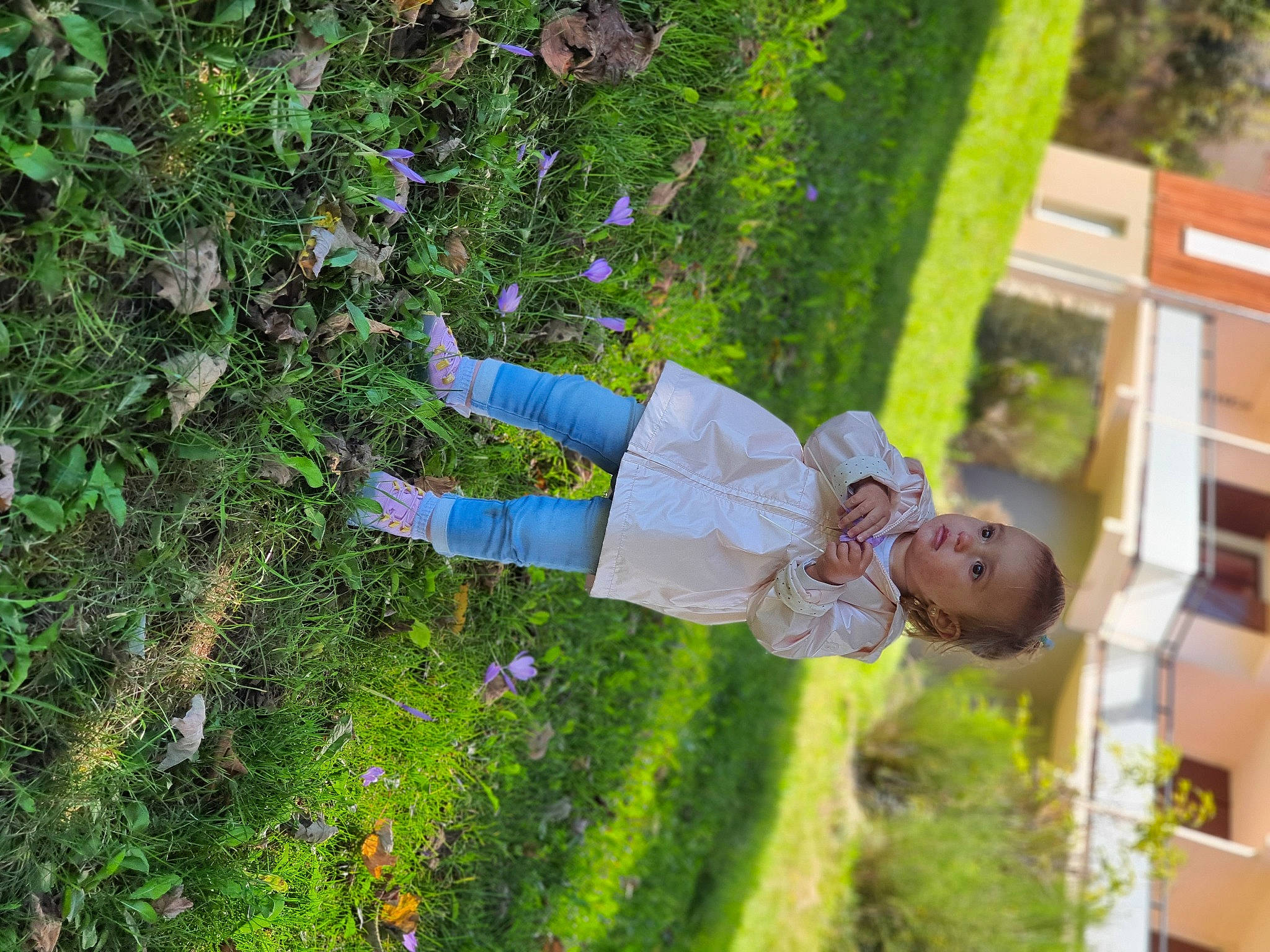 Maëlia participe au concours pour gagner de l'argent avec cette photo : annual_plant, electric_blue, flower, fun, garden, gardening, grass, grass_family, groundcover, happy, herb, landscape, lawn, leaf, leisure, people_in_nature, person, plant, shrub, toddler
