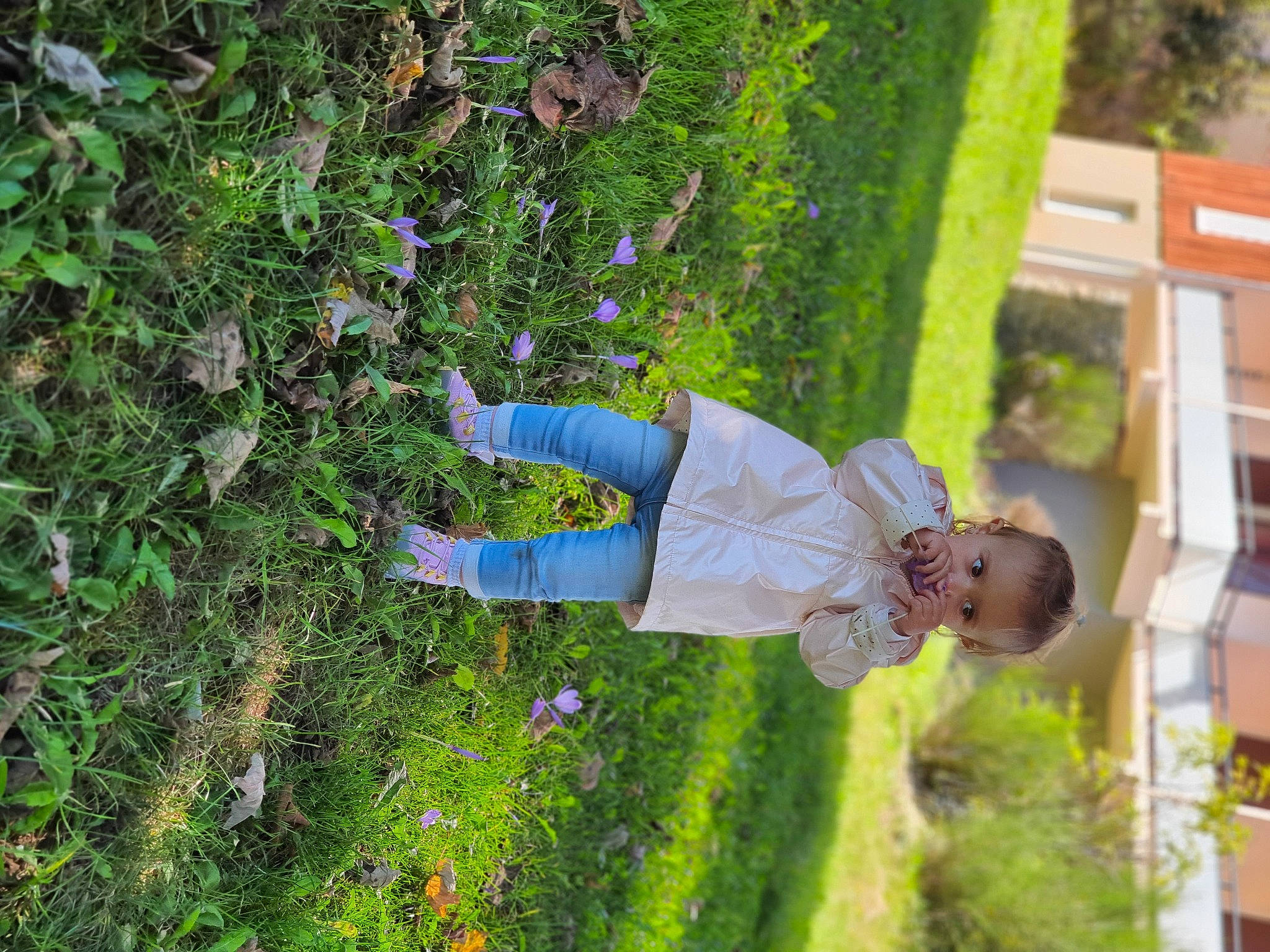 Maëlia participe au concours pour gagner de l'argent avec cette photo : agriculture, annual_plant, electric_blue, flower, flowering_plant, fun, garden, grass, groundcover, hedge, herb, landscape, leisure, people_in_nature, person, plant, shrub, toddler, tree, wood