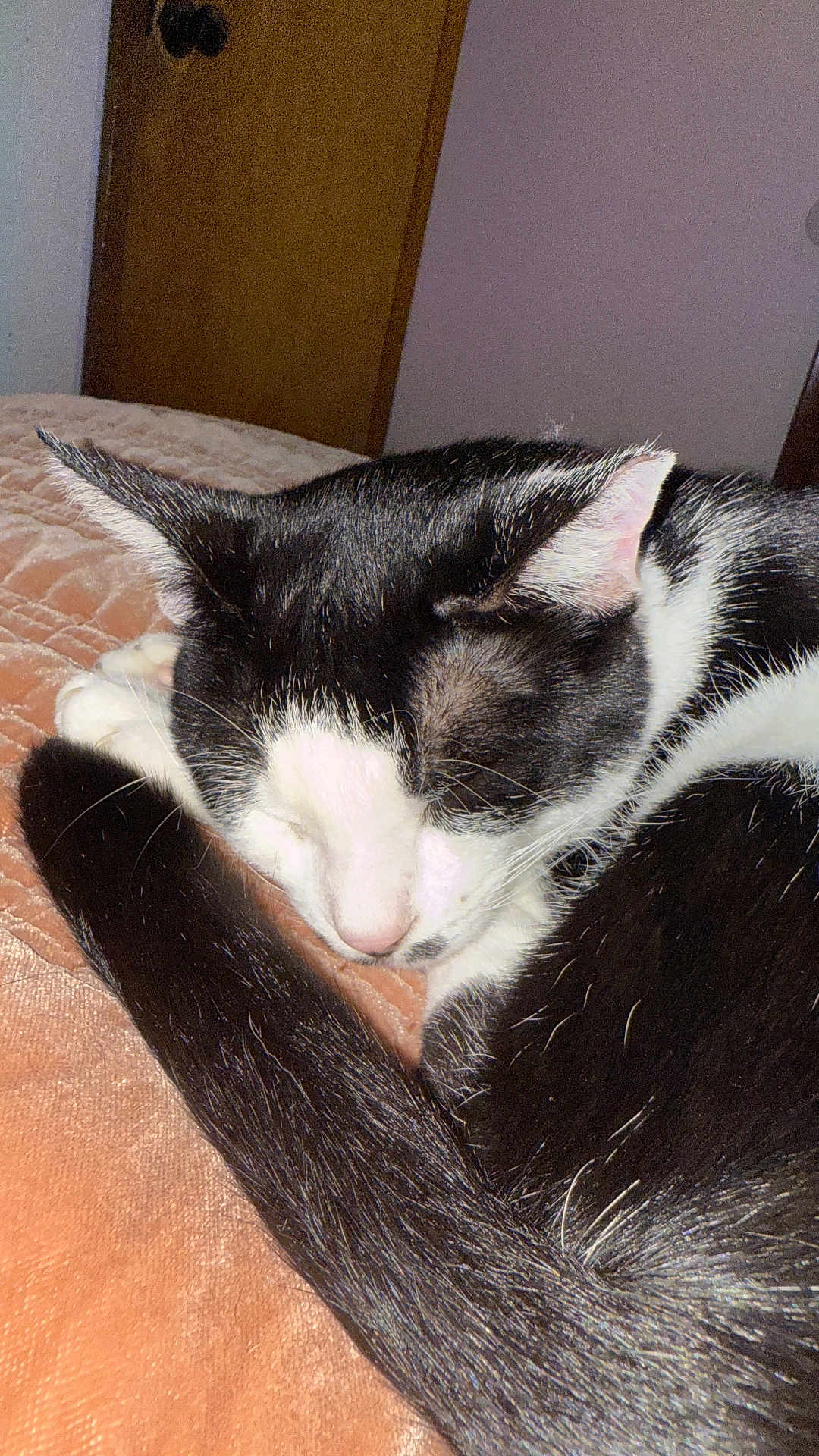 Patch