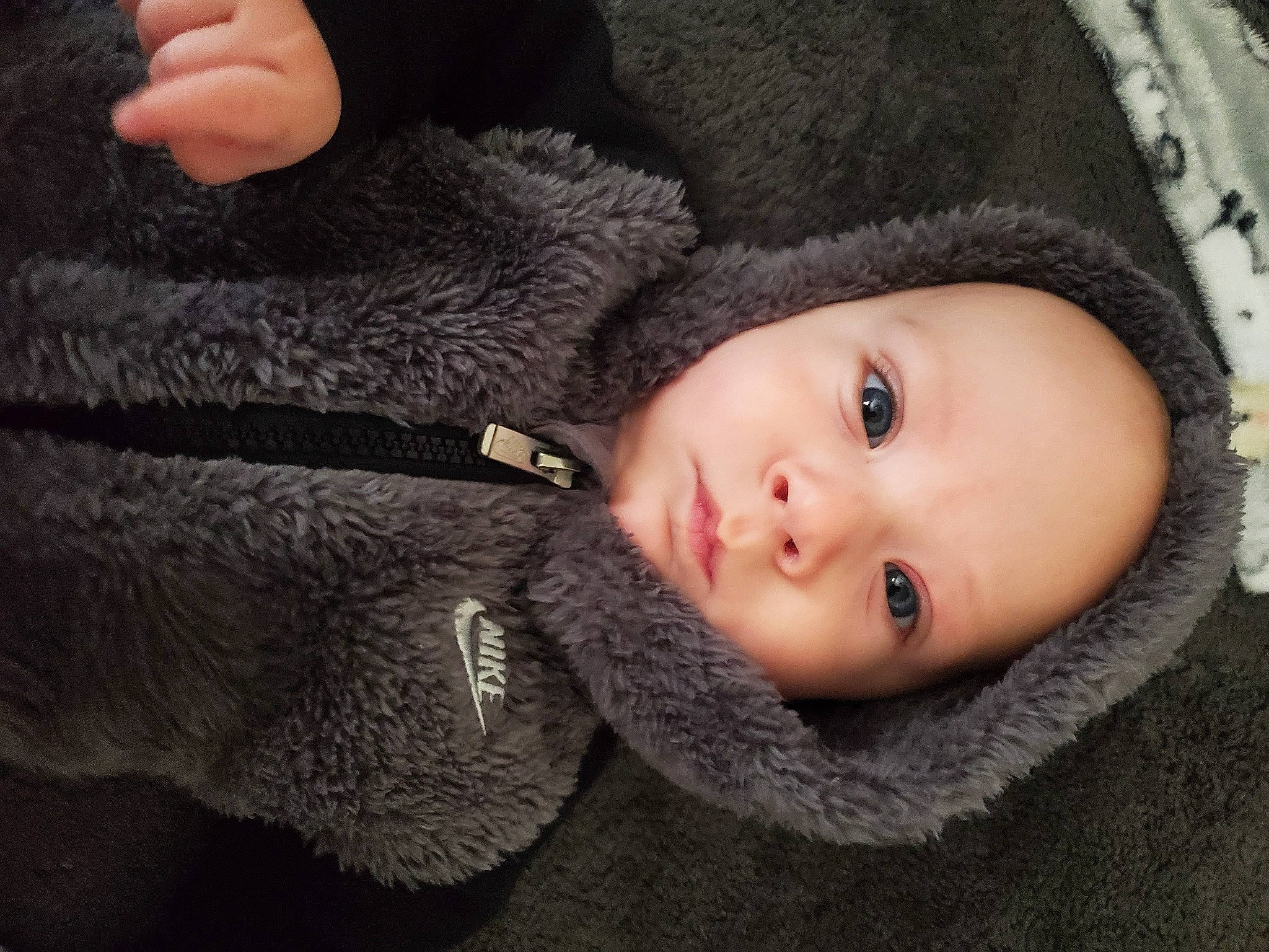 Joseph joined the competition — help win amazing prizes! baby, cap, cheek, comfort, eyelash, flash_photography, fur, gesture, grey, hat, knit_cap, lip, nose, person, skin, thumb, toddler, tree, winter, wool