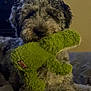 dog, plush_toy, green_toy, bed, furniture, indoor, curly_fur, pet, cozy, animal, cute, stuffed_animal, resting, canine, home, carpet, darker_lighting, toy, relaxing, room