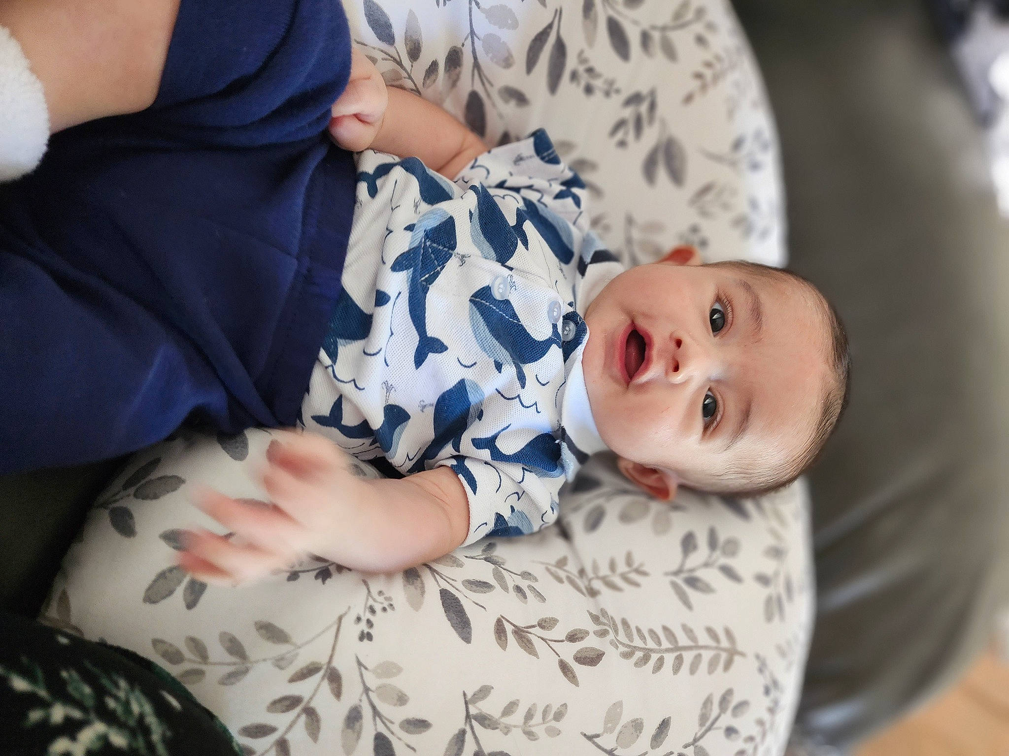Daniel joined the competition — help win amazing prizes! baby, bedtime, child, comfort, couch, elbow, finger, flash_photography, fun, happy, linens, pattern, person, plant, portrait_photography, room, sitting, skin, smile, toddler